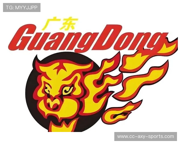 广东宏远迎战强敌，全力争夺CBA总冠军荣耀，赛前分析与看点详解