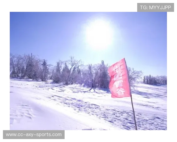 极限挑战与自我超越：杨娜的冒险人生之路探秘