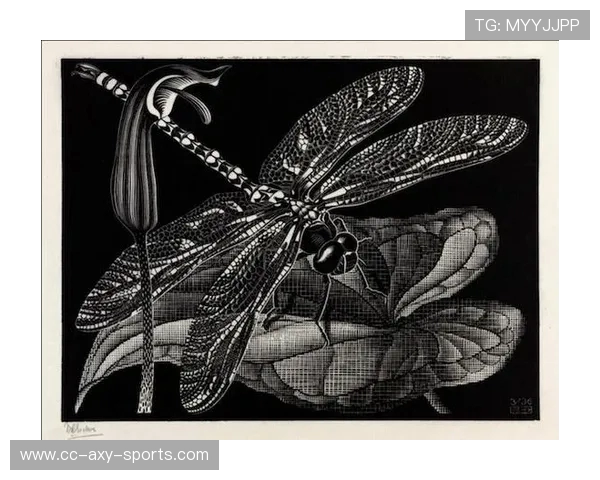 加莱诺的艺术世界探索与人文精神的深刻交融之旅 加莱诺的艺术世界探索与人文精神的深刻交融之旅